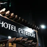 Petercat Hotel Insadong