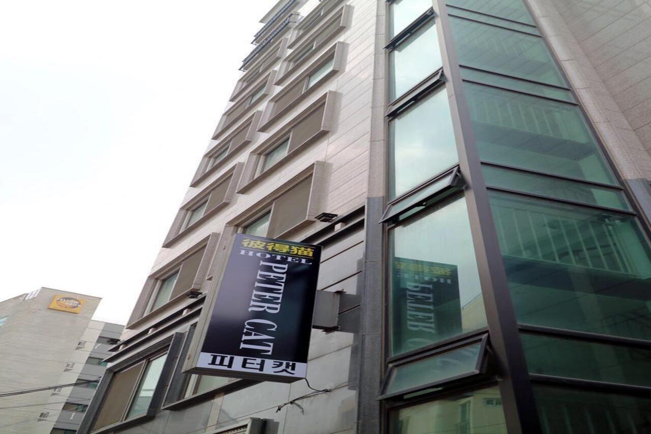 Petercat Hotel Insadong Hostel