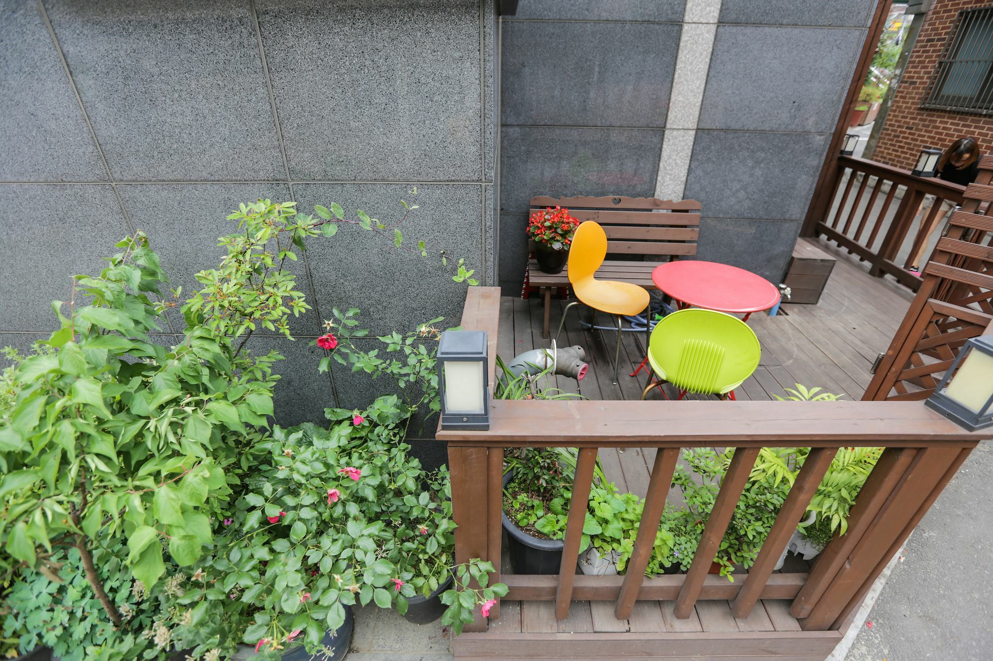 Petercat Hotel Insadong Hostel *
