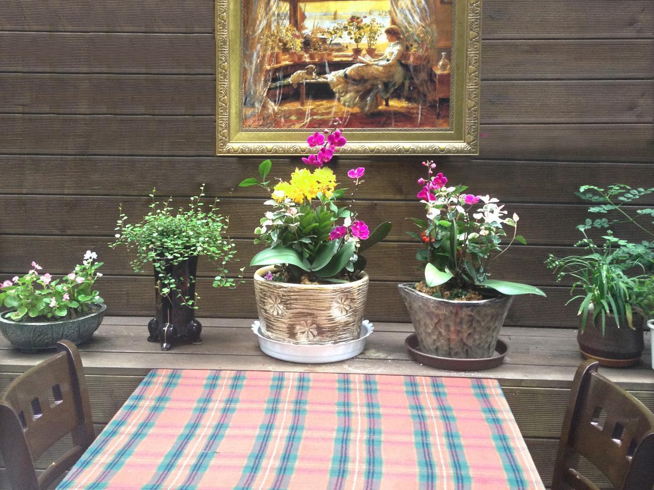 Petercat Hotel Insadong * Seoul