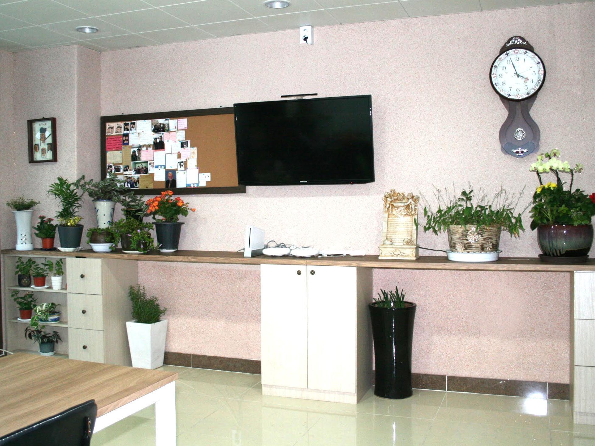 Petercat Hotel Insadong Hostel *
