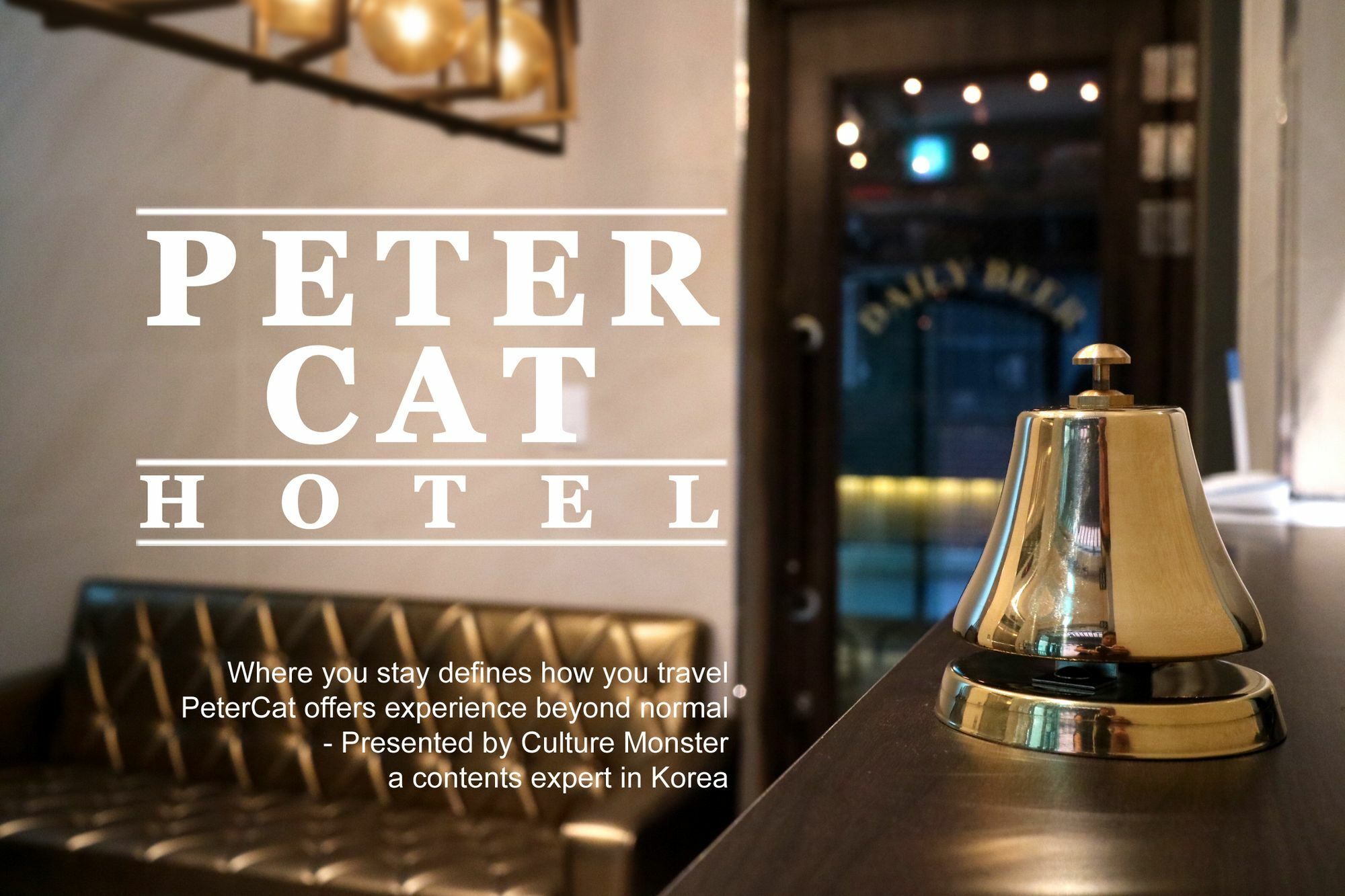 Petercat Hotel Insadong Hostel