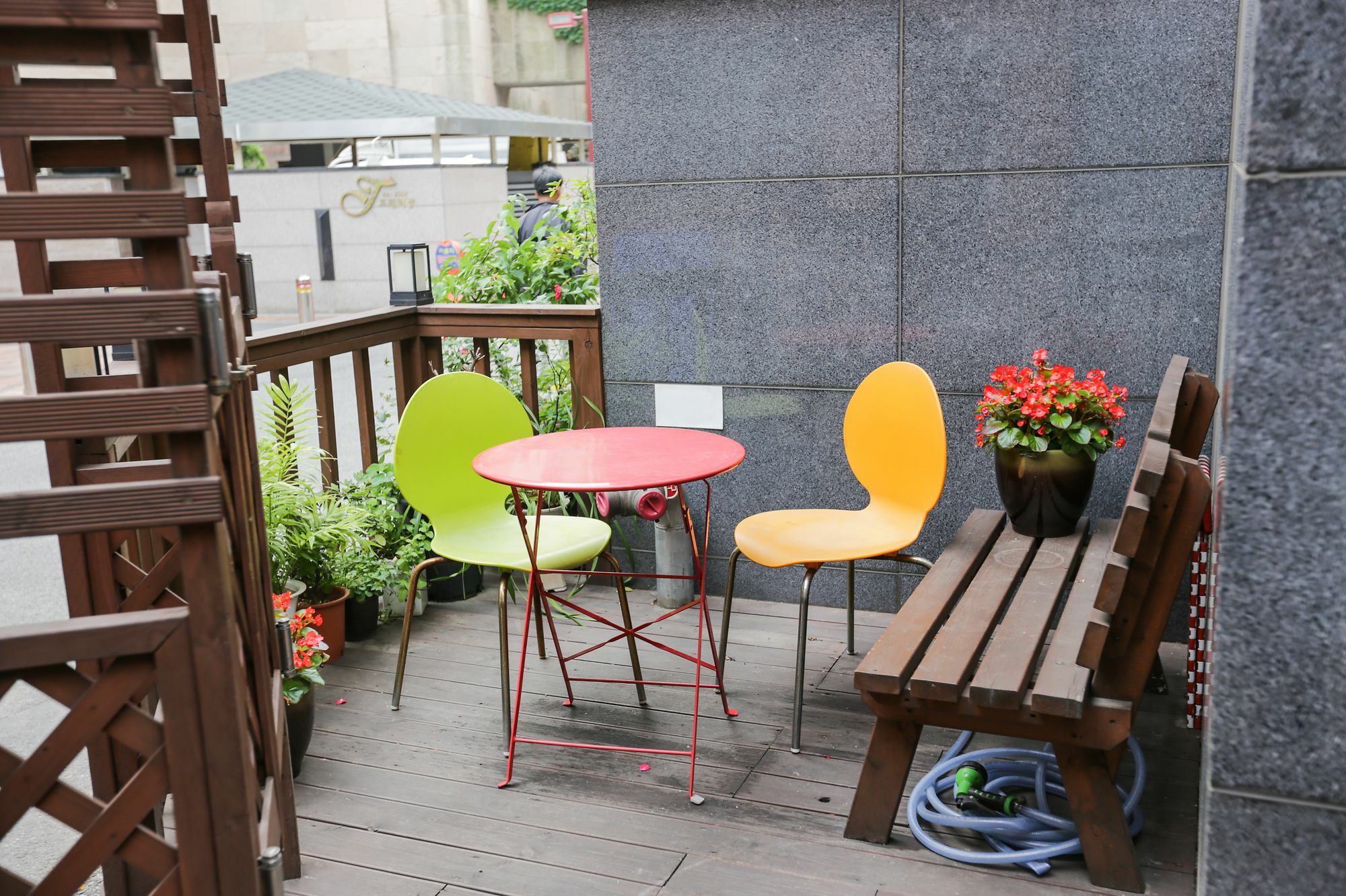 Petercat Hotel Insadong Hostel